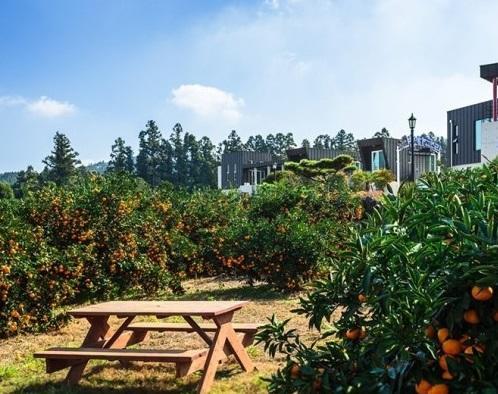 Banhakeura Pension Jeju Bagian luar foto